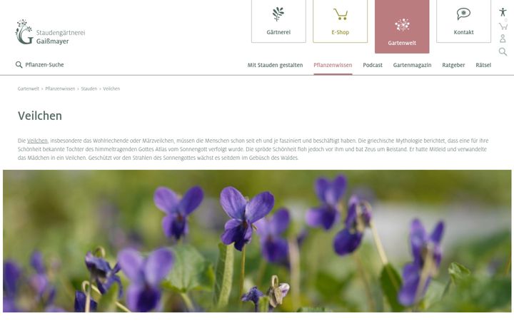 Screenshot of duftveilchen.de