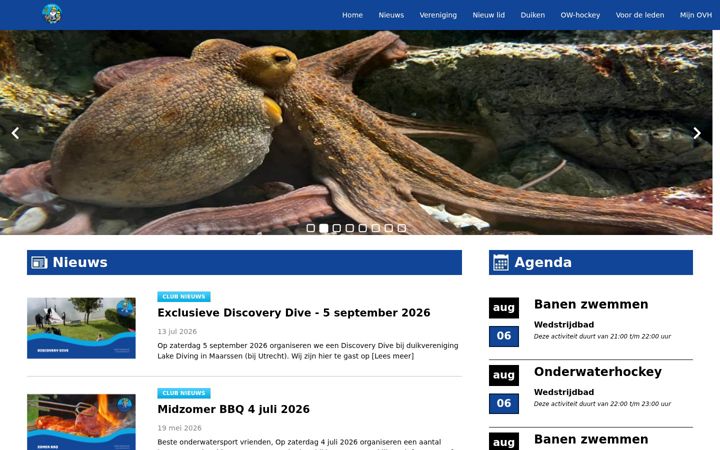 Screenshot di duikinovh.nl