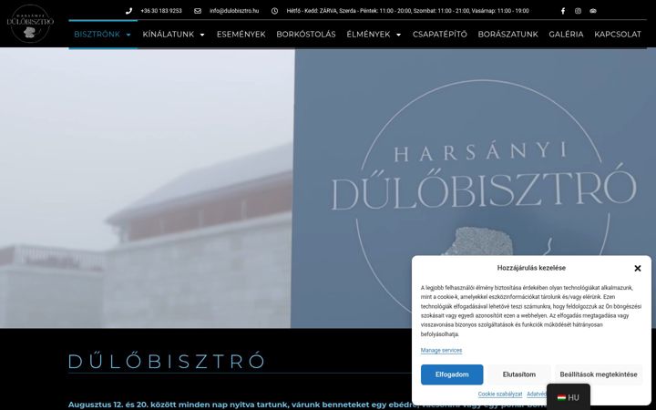 Skærmbillede af dulobisztro.hu