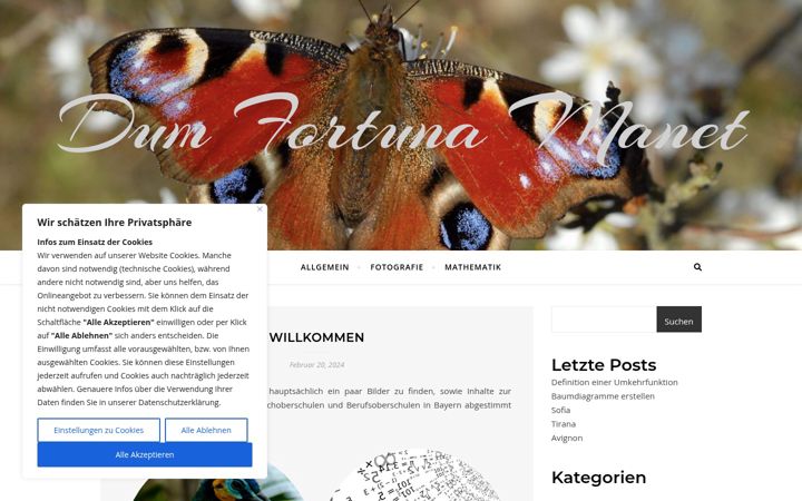 Zrzut ekranu dumfortunama.net