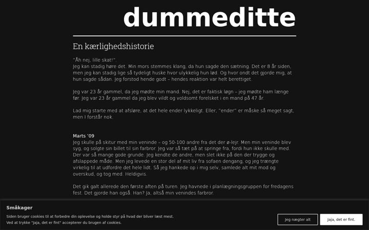 Skjámynd af dummeditte.dk