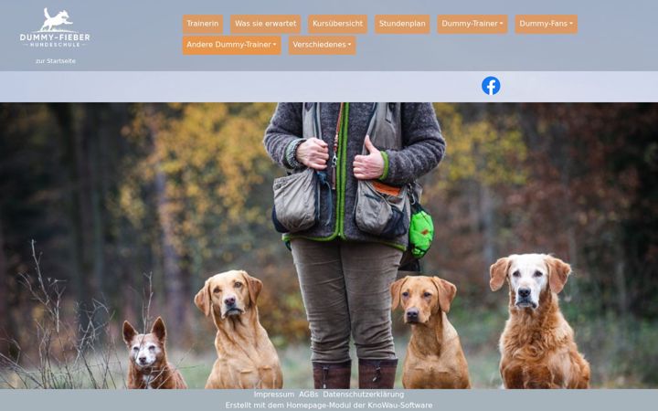 Screenshot of dummy-fieber.de