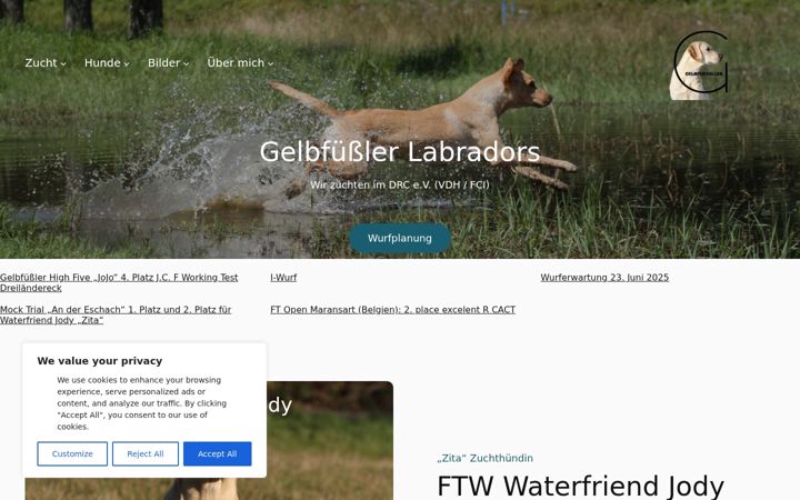 Screenshot of dummytraining-karlsruhe.de