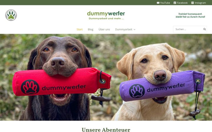 Screenshot of dummywerfer.de