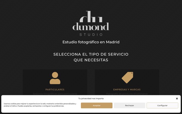 Screenshot of dumondstudio.com