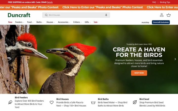 Screenshot of duncraft.com