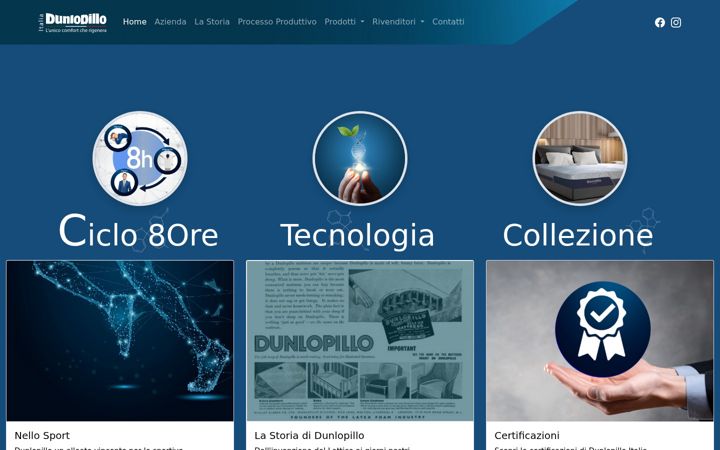 Screenshot of dunlopilloitalia.com