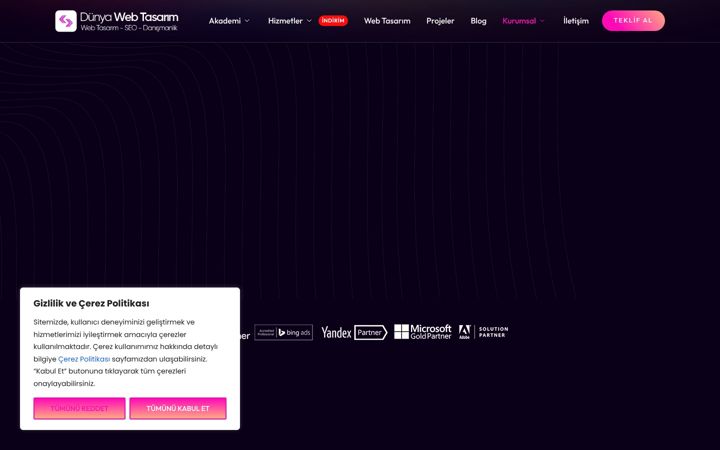 Screenshot of dunyawebtasarim.com