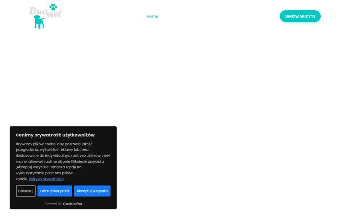 Zrzut ekranu duowet.net