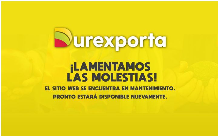 Screenshot of durexporta.com