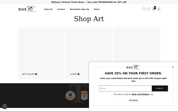 Screenshot of dus10photos.com