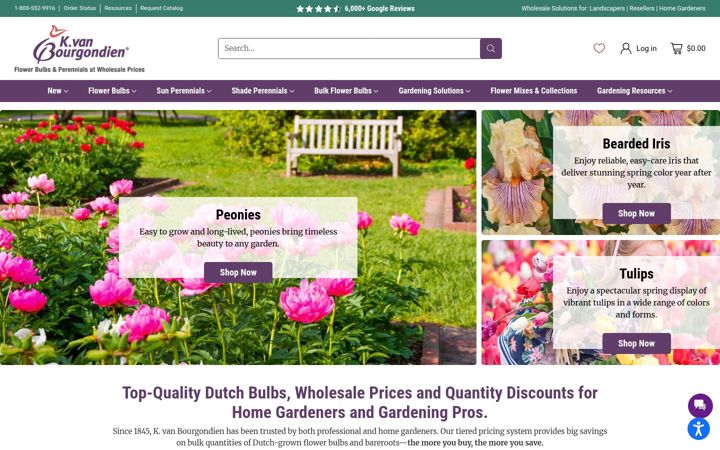 Screenshot of dutchbulbs.com