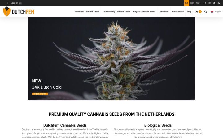 Screenshot of dutchfem.com