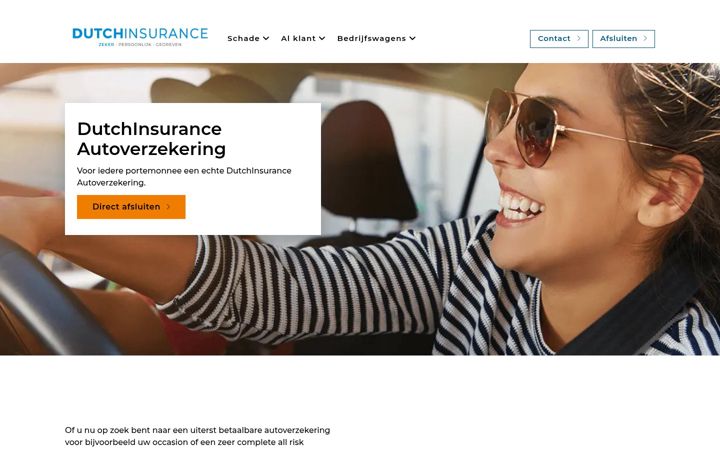 Snímek obrazovky dutchinsurance.nl