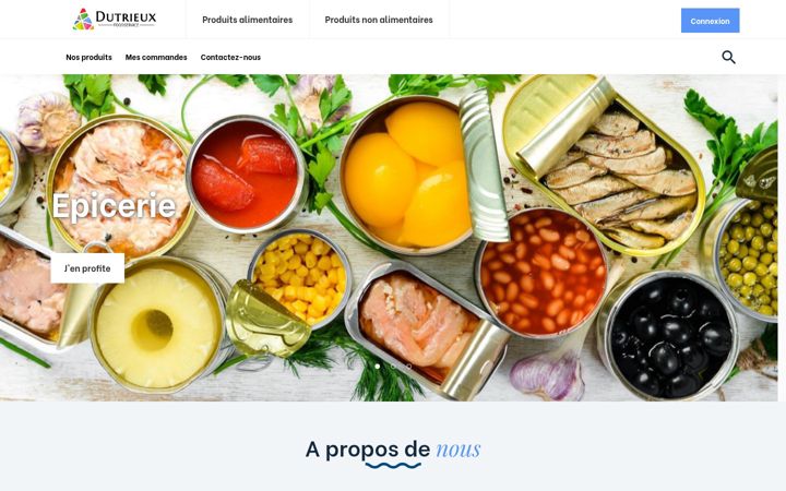 Screenshot of dutrieux-sa.com