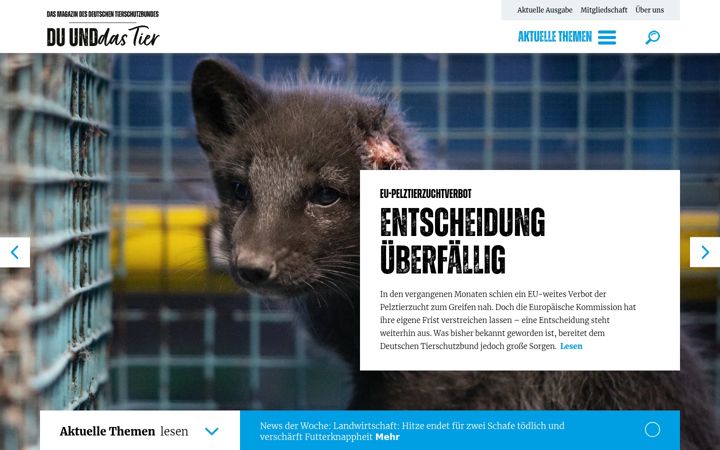 Screenshot of duunddastier.de
