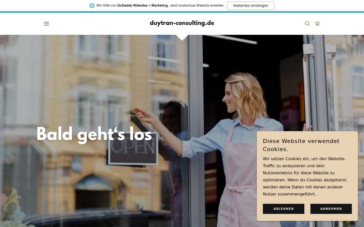 Screenshot of duytran-consulting.de
