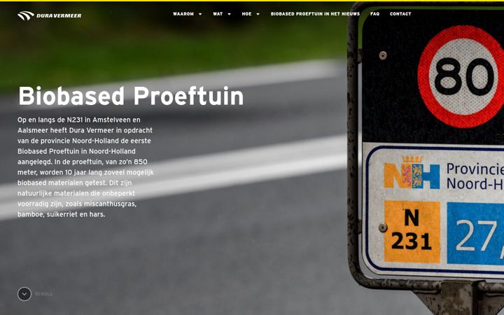 Screenshot of dv-projectwebsites.com