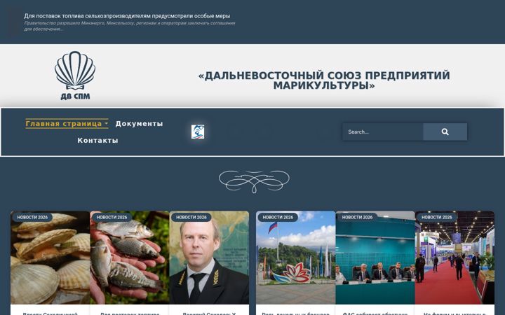 Ekraanipilt saidist dv-spm.ru