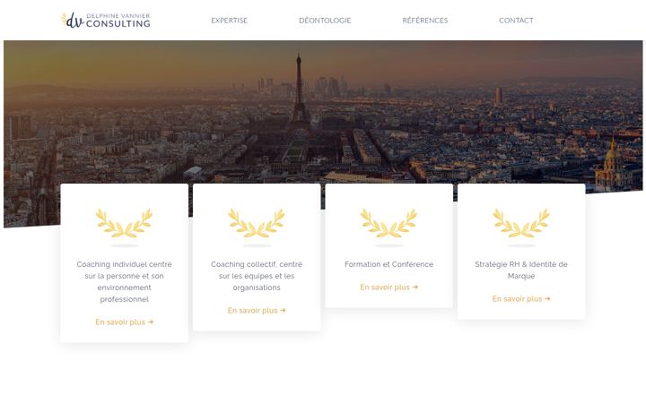 Screenshot van dvconsulting.fr