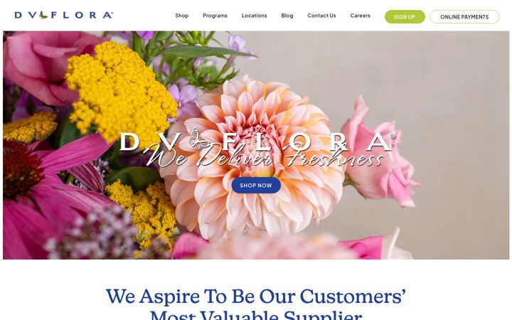 Screenshot of dvflora.com