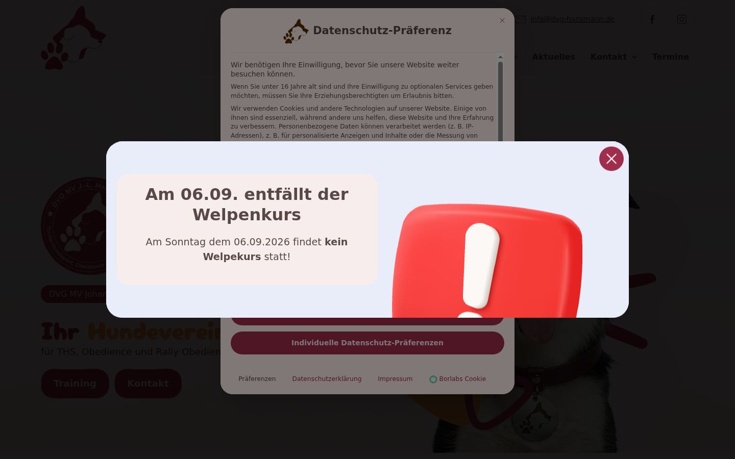 Screenshot des Einwilligungsbanners vor jeglicher Interaktion