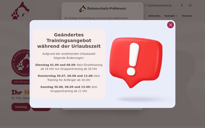 Screenshot of dvg-hansmann.de