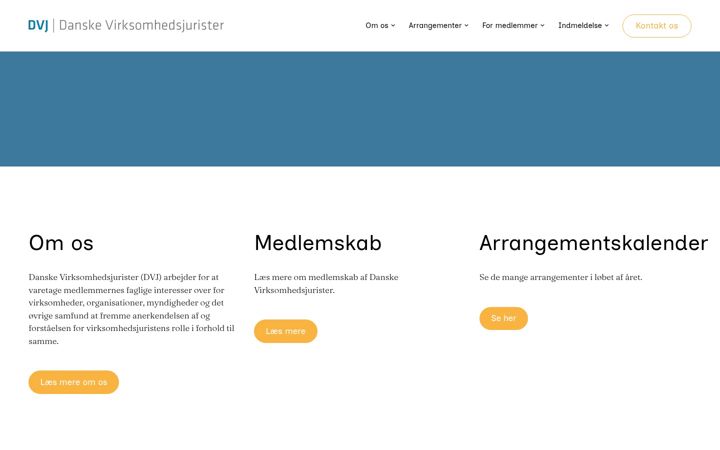 Képernyőkép: dvj.dk