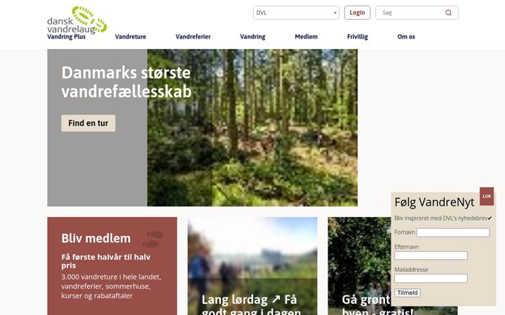 Screenshot stránky dvl.dk
