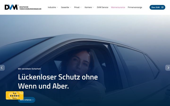Screenshot of dvm.de