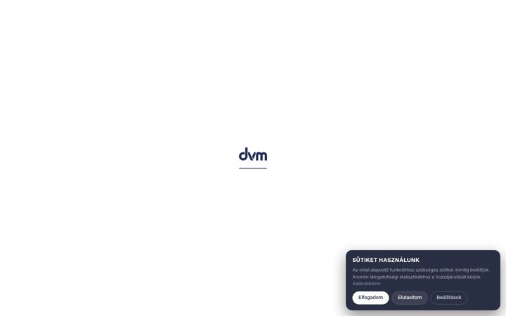 Screenshot of dvmgroup.com