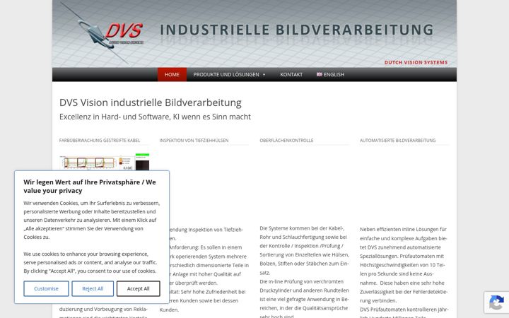 Screenshot of dvs-vision.de
