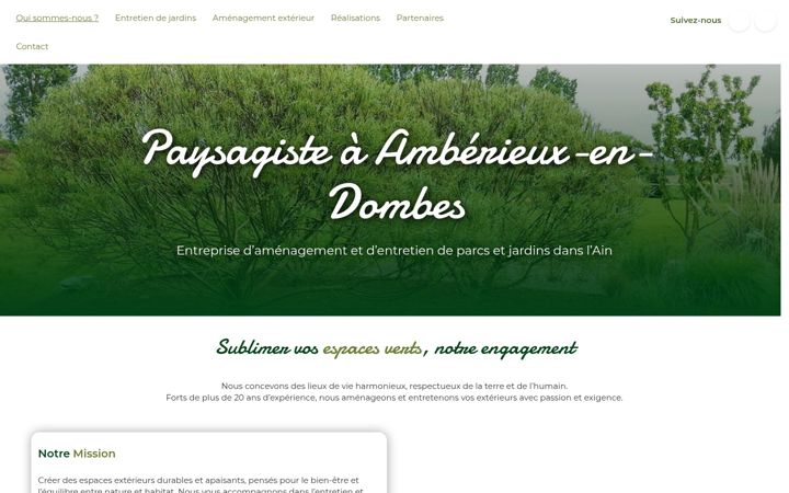 Screenshot of dvse.fr