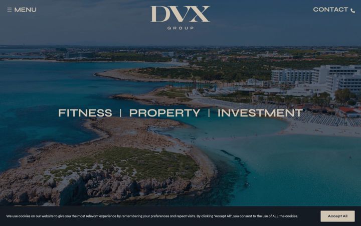 Screenshot of dvxgroup.com