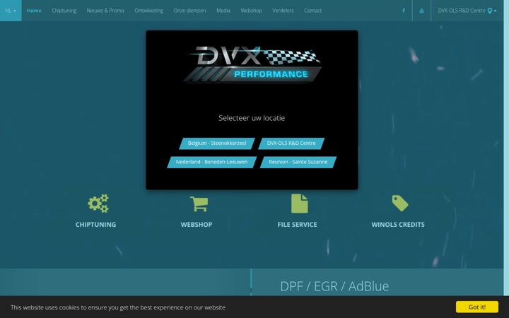 Screenshot of dvxperformance.com