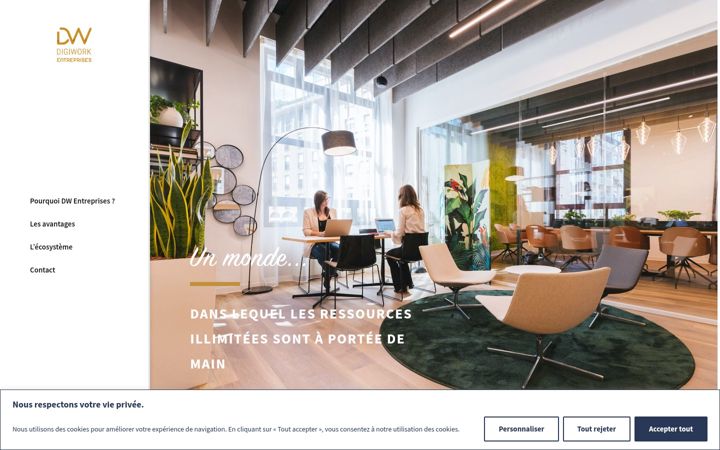 Screenshot van dw-entreprise.fr