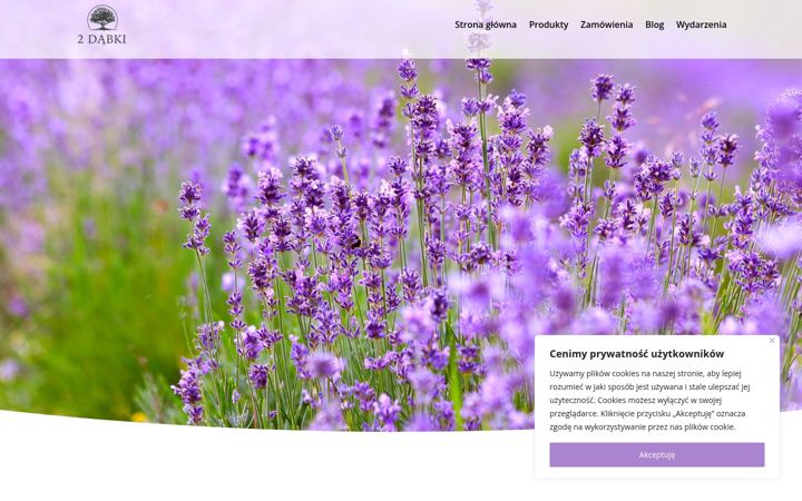 Screenshot di dwadabki.pl