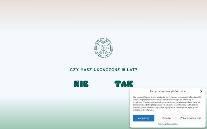 Screenshot di dwajbracia.pl