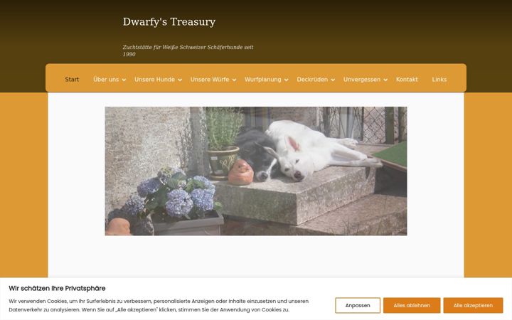 Skärmbild av dwarfys-treasury.de