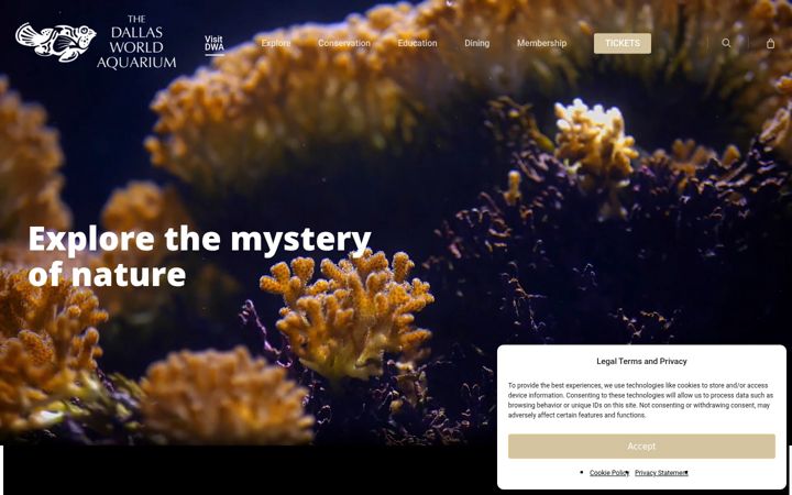 Screenshot of dwazoo.com