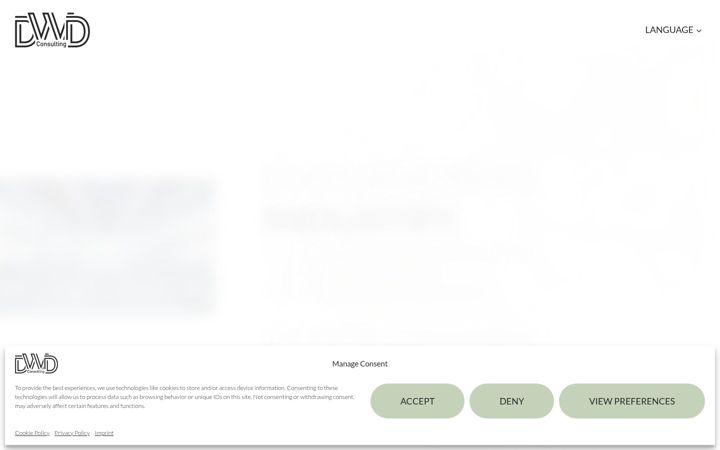 Snímek obrazovky dwd-consulting.net