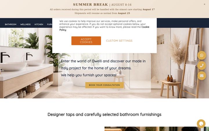 Screenshot of dwellistore.com