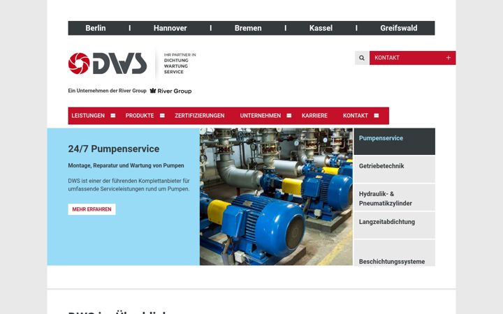 Screenshot of dws-2005.de