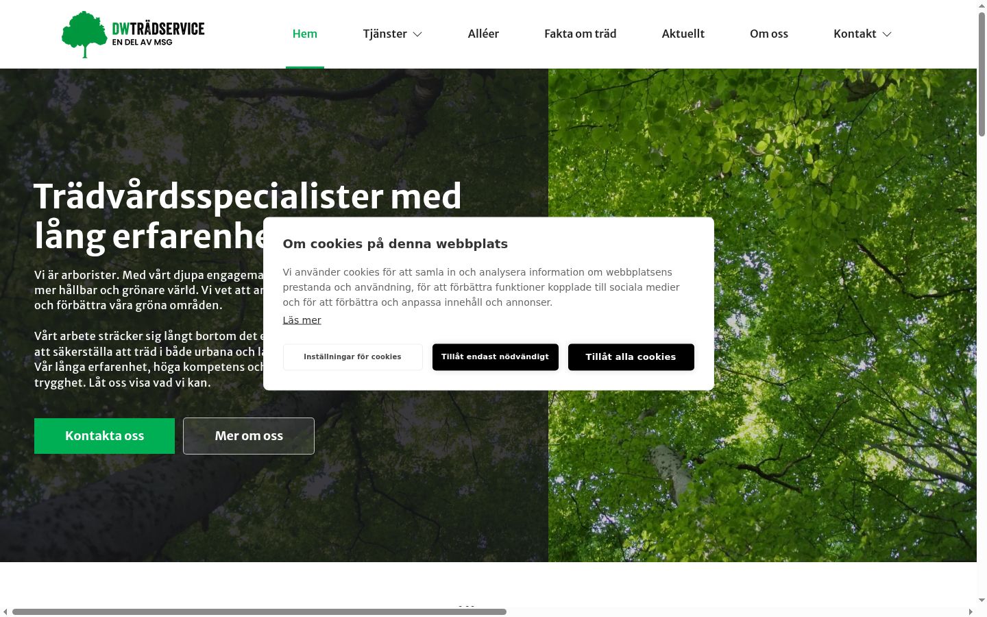 Screenshot tal-banner tal-kunsens muri qabel kwalunkwe interazzjoni