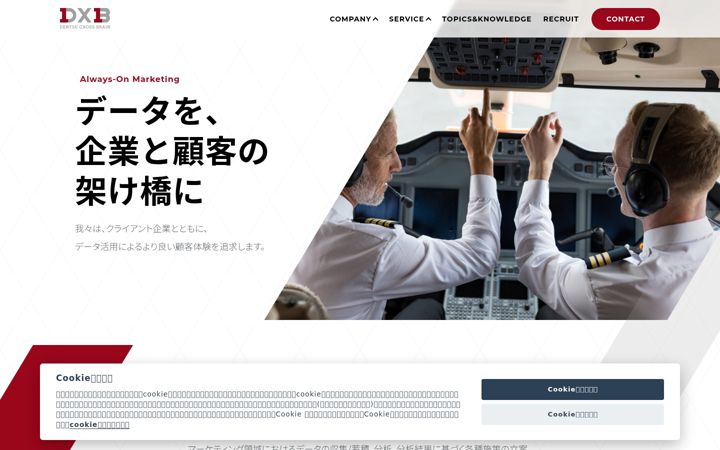 Ekraanipilt saidist dxb.co.jp