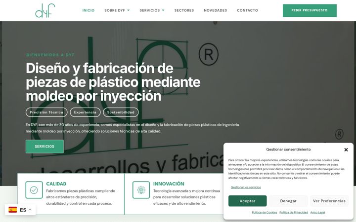 Screenshot of dyfsa.com