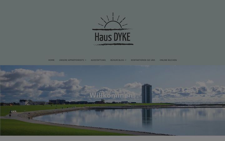 Screenshot ta' dyke-buesum.de