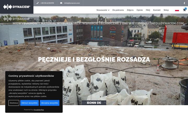 Screenshot of dynacem.com