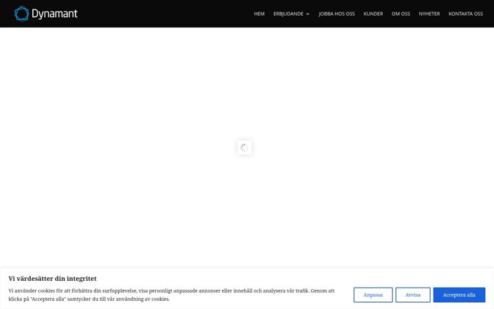Screenshot ta' dynamant.se