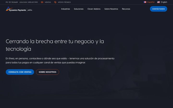 Screenshot of dynamicspayments.com